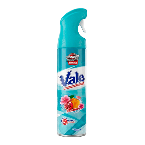 Vale Aromatizante De Ambiente Paraíso 300Ml 1X12 (copia)